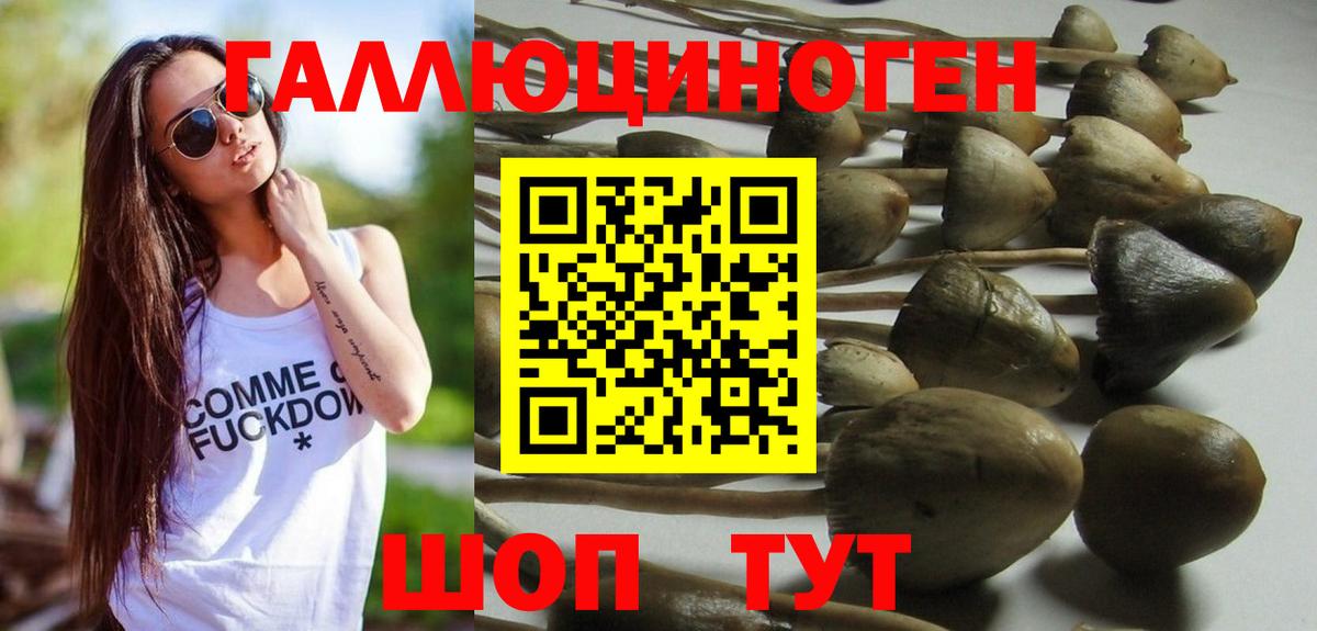 Псилоцибиновые грибы ЛСД Новоалтайск