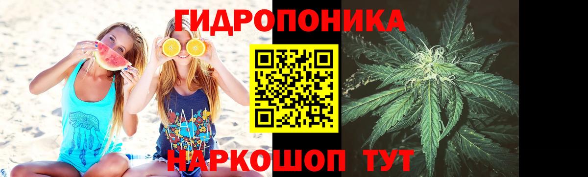 Конопля OG Kush  Канабис план  Вход с VPN  Новоалтайск  Бошки Шишки гибрид 